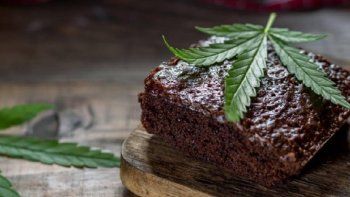 Córdoba: estudiantes llevaron brownies con marihuana a la escuela y terminaron intoxicados. Córdoba: estudiantes llevaron brownies con marihuana a la escuela y terminaron intoxicados.