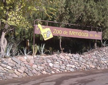 Tres ciervos murieron en el Zoo de Mendoza y ya son 14 los animales fallecidos