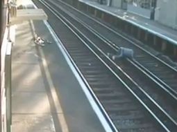 video: intento cruzar las vias pero se cayo justo antes de que pase el tren video: intento cruzar las vias pero se cayo justo antes de que pase el tren