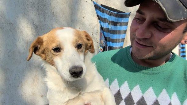 Tristeza en las redes sociales por la muerte del famoso perrito malvado de TikTok