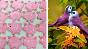 Las tradiciones más extrañas del Día de los Enamorados Las tradiciones más extrañas del Día de los Enamorados