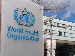 La OMS calificó al virus Nipah como de bajo riesgo global