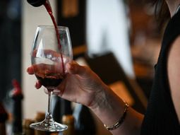 El análisis precisó que el consumo moderado de vino se asocia con un menor riesgo de mortalidad prematura. El análisis precisó que el consumo moderado de vino se asocia con un menor riesgo de mortalidad prematura.