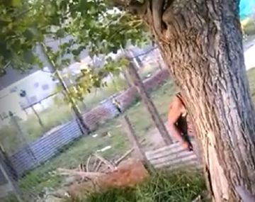 Los vecinos denuncian que el nene pasa horas atado a un árbol