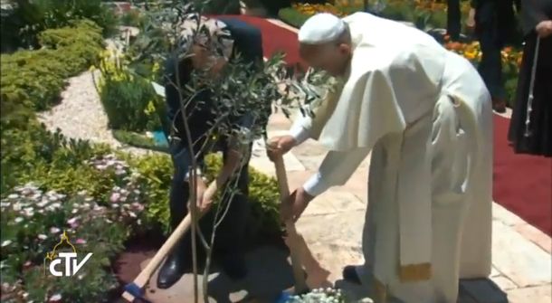 Todo un símbolo: el Papa y el presidente de Israel plantaron el olivo de la paz
