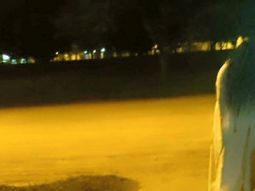 La llorona apareció en una plaza. La llorona apareció en una plaza.