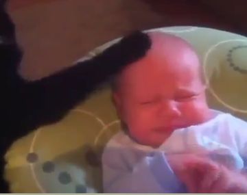 El mejor niñero del mundo: así calma un gato a un bebé