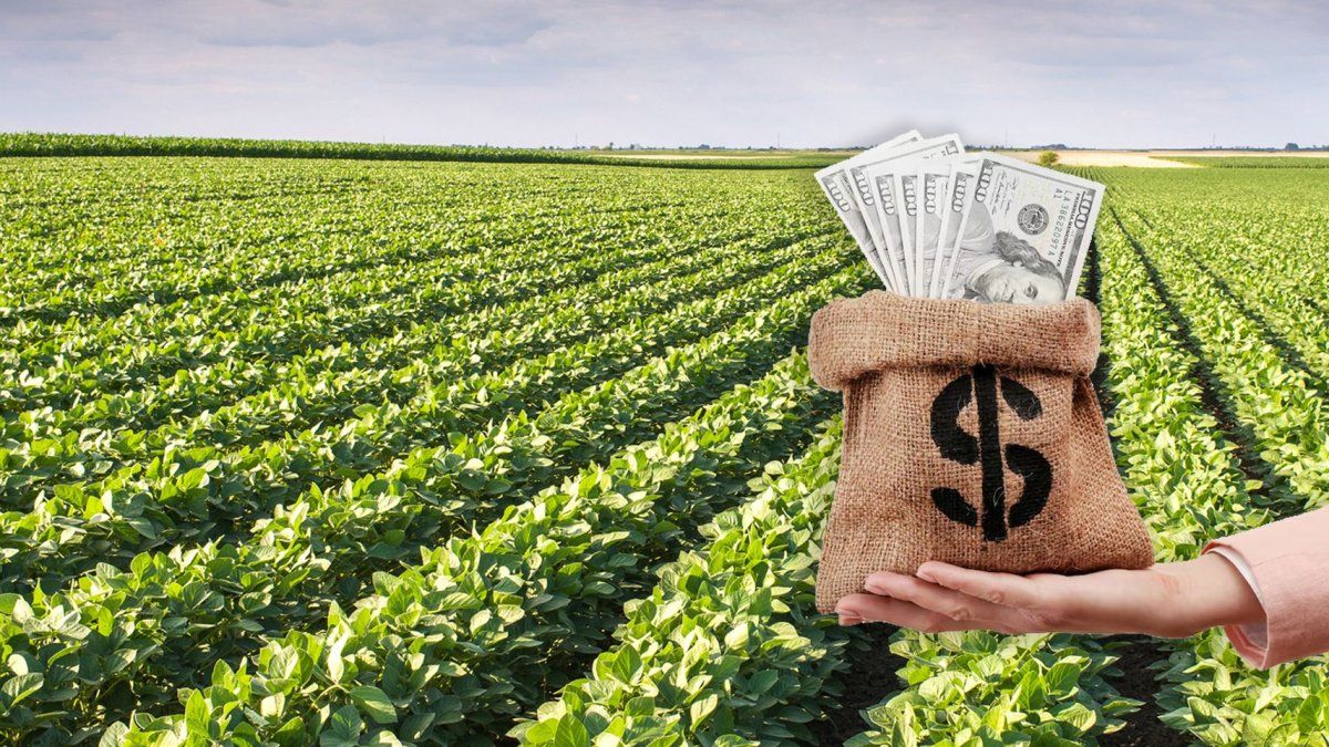 Imagen noticia completa