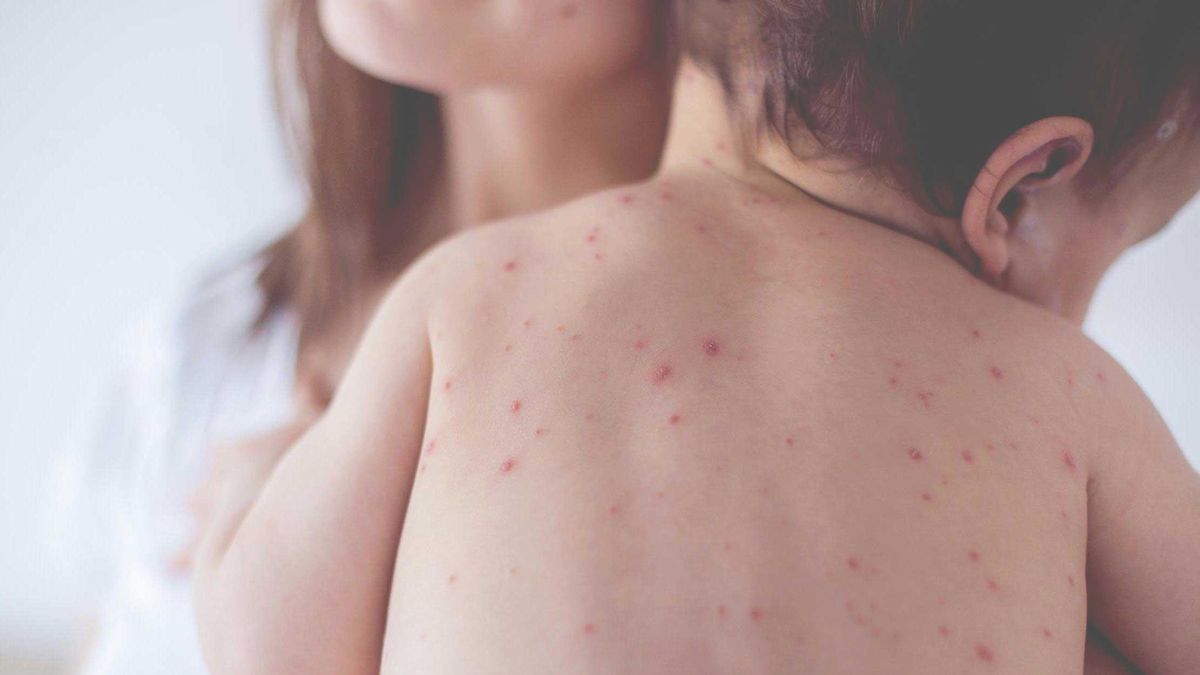 Imagen noticia completa