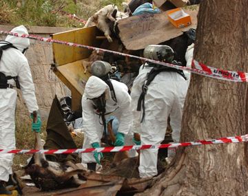 De la Sota pide mano dura por la masiva matanza de animales