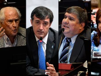 Crucifijos, la madre de Mozart y ¡el goce!: las frases destacadas del debate sobre el aborto