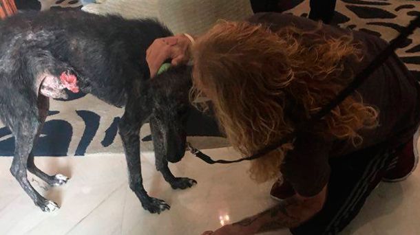 El emotivo encuentro entre Steve Adler y Tango