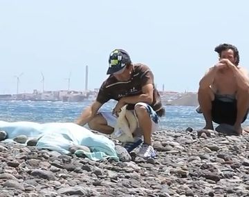 Murió degollada por una tabla de windsurf