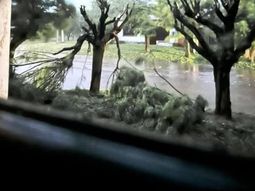 brutal temporal de lluvias en buenos aires deja mas de 5 millones de hectareas afectadas brutal temporal de lluvias en buenos aires deja mas de 5 millones de hectareas afectadas