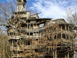 Tree house 1