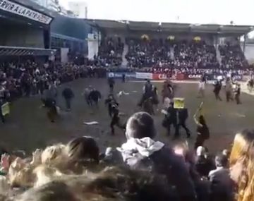 Activistas se metieron en La Rural y algunos gauchos los corrieron con los caballos