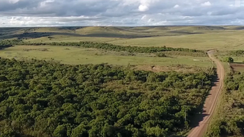 El gobierno destinará 15 millones de dólares extra para la reparación de caminos rurales en Uruguay. El gobierno destinará 15 millones de dólares extra para la reparación de caminos rurales en Uruguay.