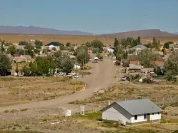 Un hombre acusó a su primo de envenenarle los perros y lo mató de un tiro