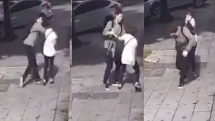 VIDEO: una señora quiso resistir un violento arrebato y cayó al piso