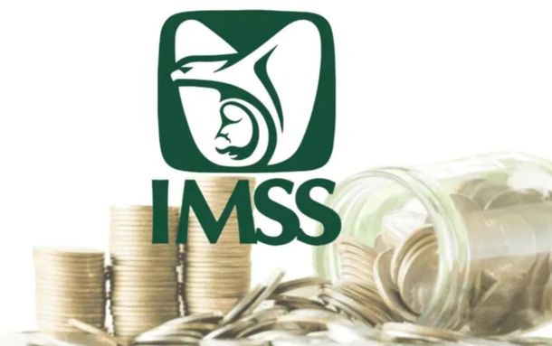 Checa lo que tiene para decir el IMSS.