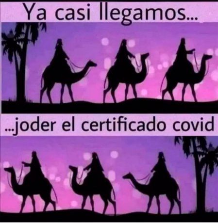 Los memes por el covid positivo de los Reyes Magos