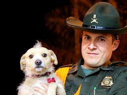 hermosa iniciativa: un policia rescata perros de la calle hermosa iniciativa: un policia rescata perros de la calle