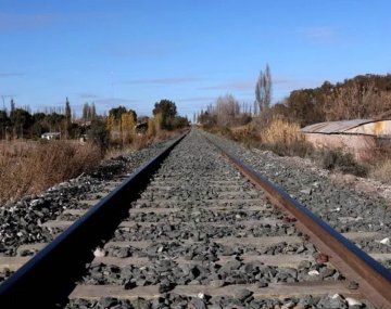 Trenes Argentinos presentó una denuncia por actos vandálicos en las vías
