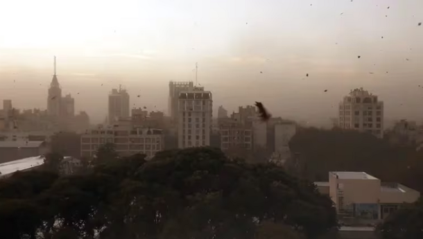 El viento fuerte hace estragos esta tarde en Buenos Aires: la alerta del organismo oficial del tiempo