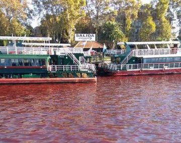 Agua roja en el Delta de Tigre - Crédito: @Stefy_duarte99