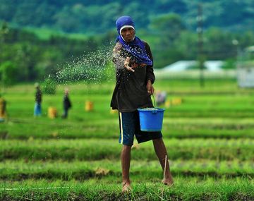 La agricultura nos hizo más débiles