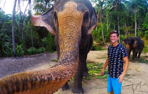 La mejor selfie del mundo la sacó un elefante