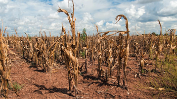 Fernando Mattos consideró que es conveniente extender la emergencia agropecuaria por la sequía. Fernando Mattos consideró que es conveniente extender la emergencia agropecuaria por la sequía.