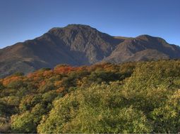 se cayo un helicoptero en el cerro uritorco: tres personas resultaron heridas se cayo un helicoptero en el cerro uritorco: tres personas resultaron heridas