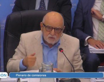 Ley Ómnibus: Rodolfo Barra citó a Perón y una diputada lo cruzó