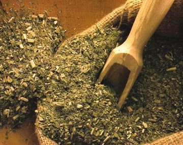 Yerba mate