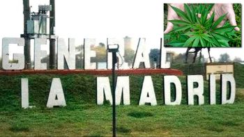 general la madrid, el pueblo que quiere cultivar marihuana general la madrid, el pueblo que quiere cultivar marihuana
