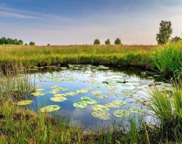 Por qué hoy es el Día Mundial de los Humedales