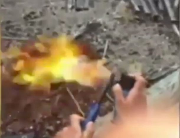 Se filmaron prendiendo fuego a un animal y ahora podrían ir presos