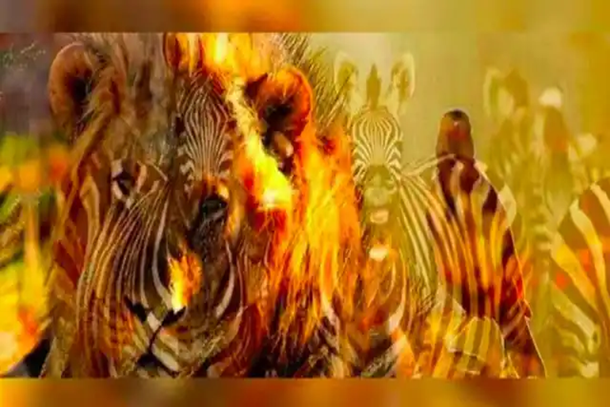 Descubre aspectos de tu personalidad según lo primero que veas en la imagen.