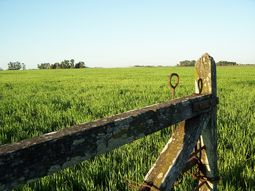 el campo para una semana en reclamo de un cambio en la politica agraria el campo para una semana en reclamo de un cambio en la politica agraria