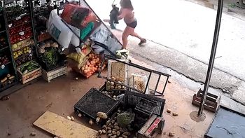 furia en la plata: una mujer destrozo una verduleria con un ladrillo furia en la plata: una mujer destrozo una verduleria con un ladrillo