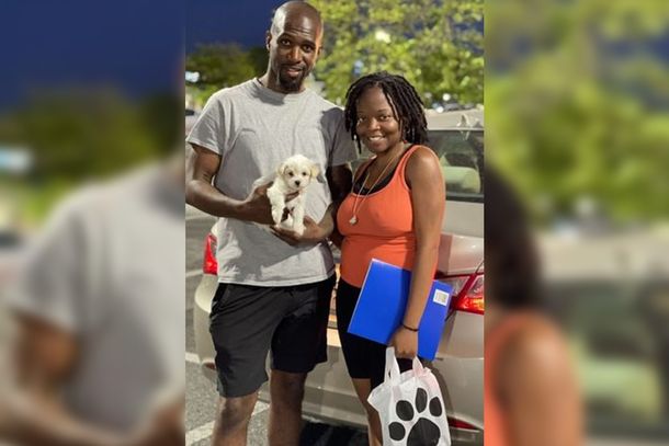 Llevó a su cachorro a la peluquería y le devolvieron un perro adulto