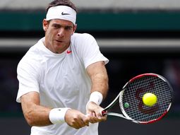 del potro le gano a seppi a pesar del dolor del potro le gano a seppi a pesar del dolor