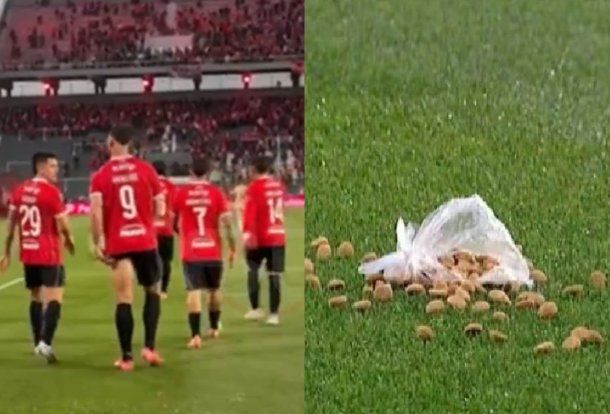 Bronca: hinchas de Independiente lanzaron comida para perros a los jugadores tras el 1-0 ante Platense Bronca: hinchas de Independiente lanzaron comida para perros a los jugadores tras el 1-0 ante Platense