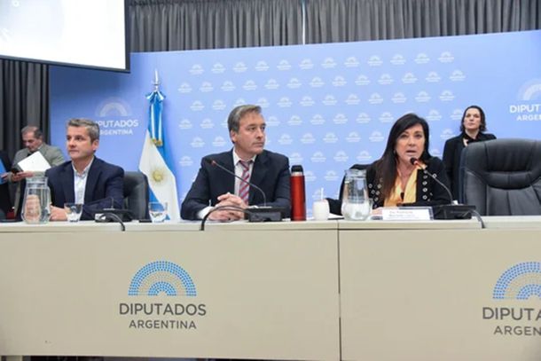 Diputados: Libertarios y PRO impulsan el debate para reducir la edad de imputabilidad de menores