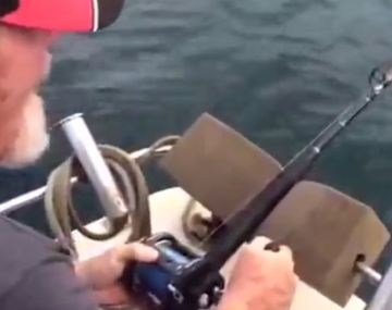 Un tiburón le quitó lo que había pescado