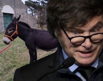 Javier Milei, contento con sus nuevos burros