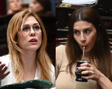 Pagano dio quórum y Lemoine la acusó de querer voltear al Gobierno