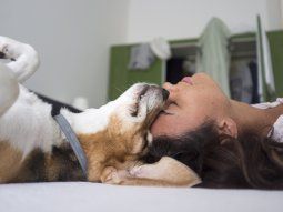 Dormir con el perro en la cama: ¿un placer o una mala idea?