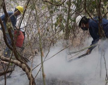 Jujuy, Salta y La Rioja presentan incendios en varias zonas